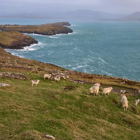 Skellig Port - 1 Bed Appartamento