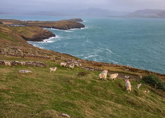 Skellig Port - 1 Bed Apartament